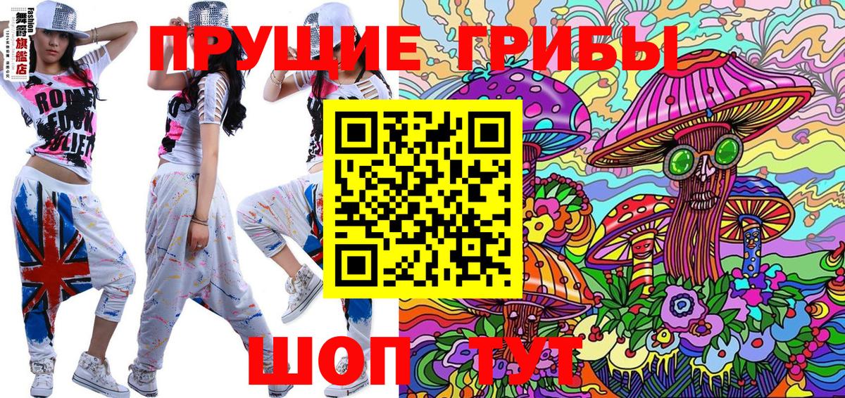 Великий Устюг  Псилоцибиновые грибы Psilocybe  Вход с VPN  как найти   Галлюциногенные грибы прущие грибы 