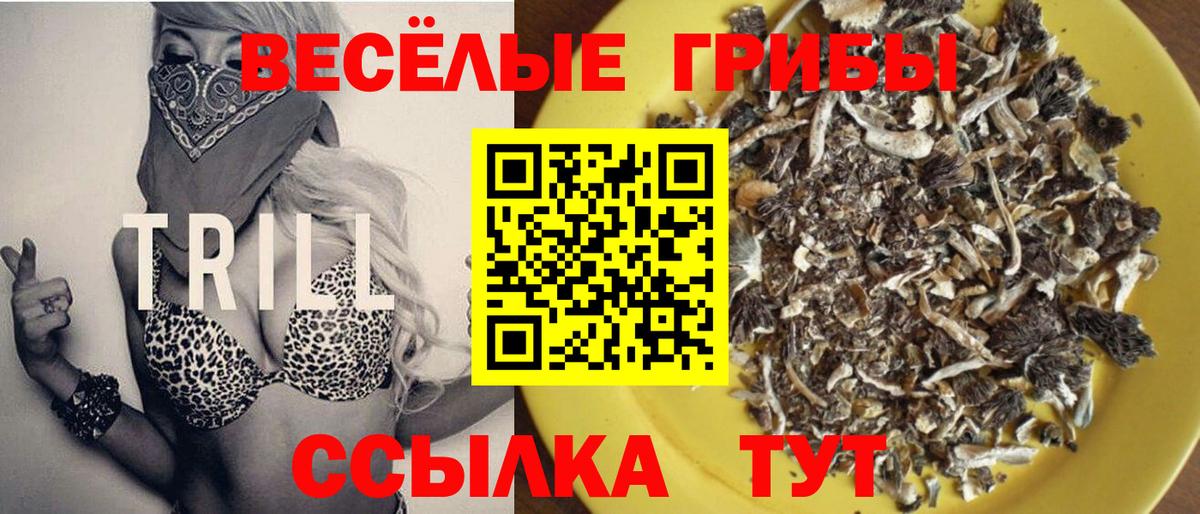 Галлюциногенные грибы GOLDEN TEACHER Великий Устюг